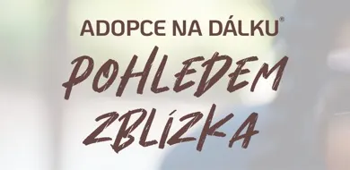 Výstava obrazů v rámci projektu Adopce na dálku